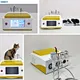 Small pet pain relief